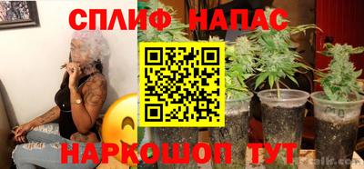 индика Малоярославец