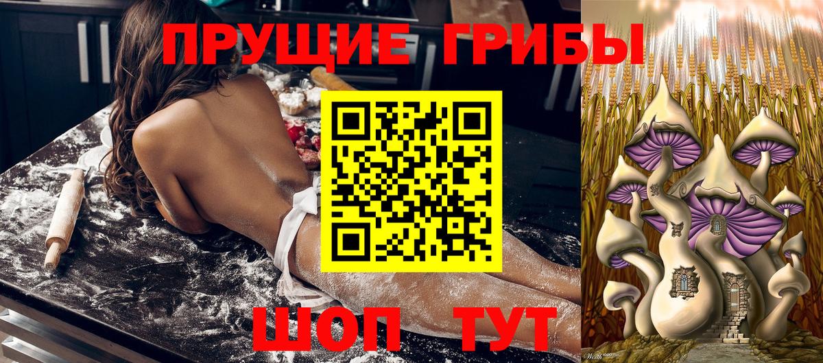 Псилоцибиновые грибы GOLDEN TEACHER Шахты