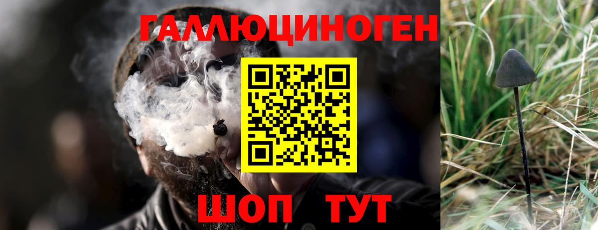 Галлюциногенные грибы Psilocybine cubensis  хочу наркоту  Шахты  Вход с VPN  Псилоцибиновые грибы MAGIC MUSHROOMS 